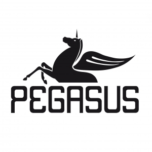 Pegasus Yayınları